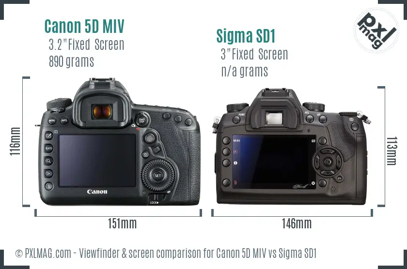 Canon 5D MIV vs Sigma SD1 Screen and Viewfinder comparison