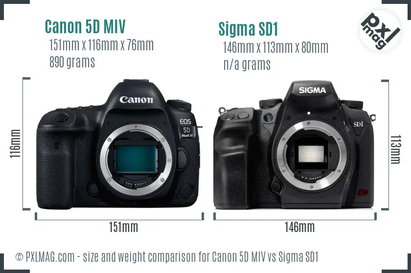 Canon 5D MIV vs Sigma SD1 size comparison