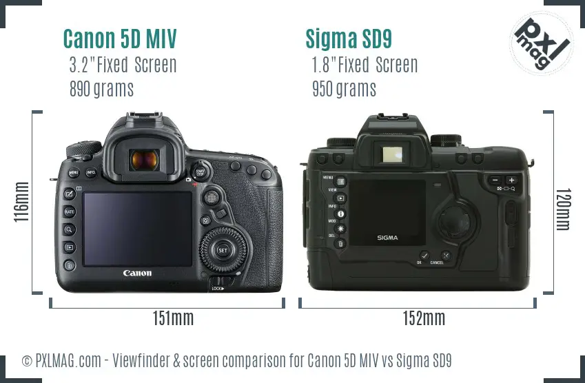 Canon 5D MIV vs Sigma SD9 Screen and Viewfinder comparison