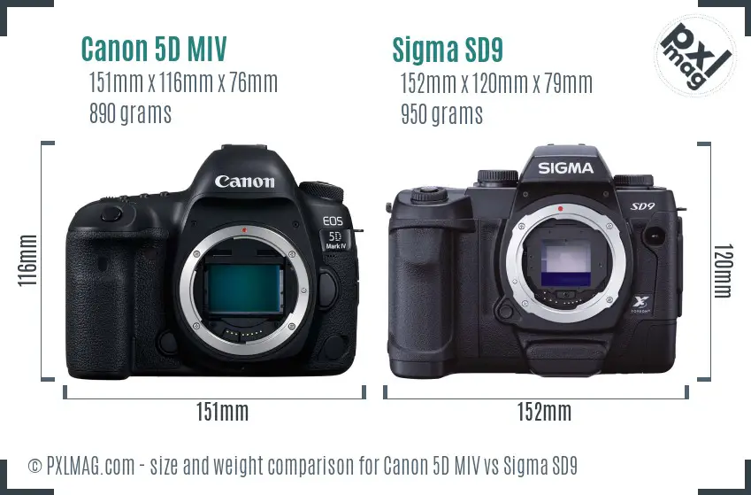 Canon 5D MIV vs Sigma SD9 size comparison