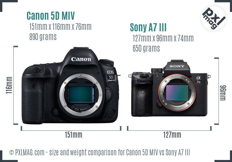 Canon 5D MIV vs Sony A7 III size comparison Canon 5D MIV vs Sony A7 III size comparison