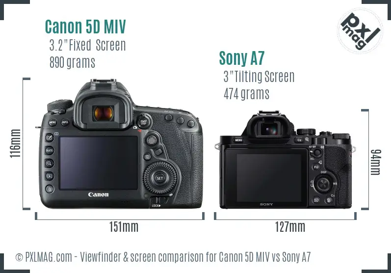 Canon 5D MIV vs Sony A7 Screen and Viewfinder comparison