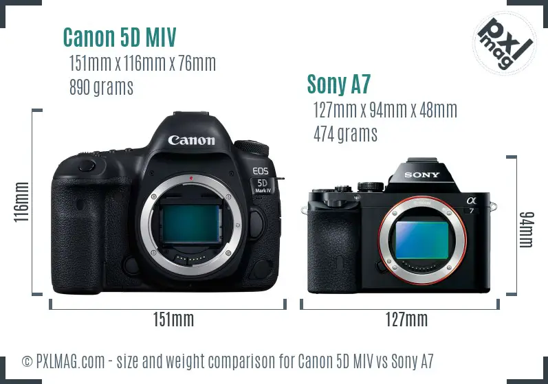 Canon 5D MIV vs Sony A7 size comparison