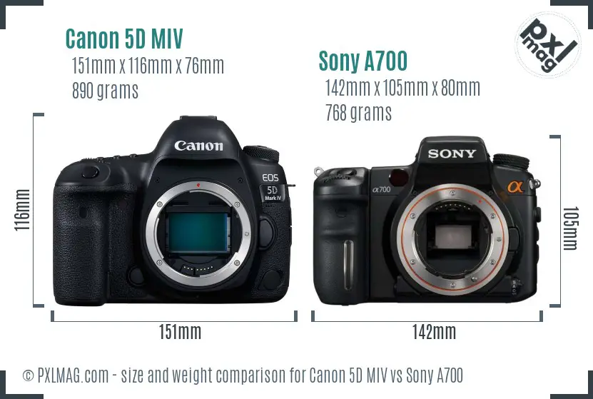 Canon 5D MIV vs Sony A700 size comparison