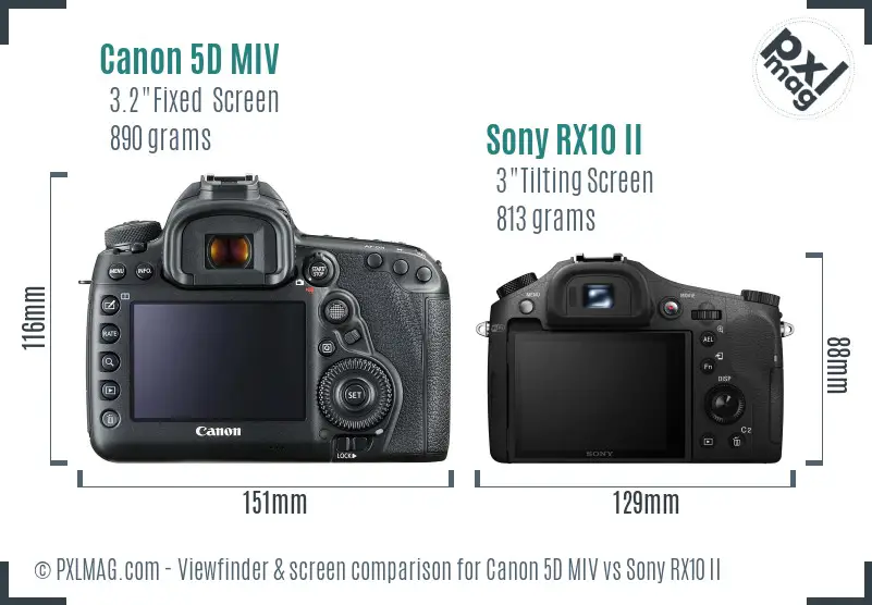 Canon 5D MIV vs Sony RX10 II Screen and Viewfinder comparison