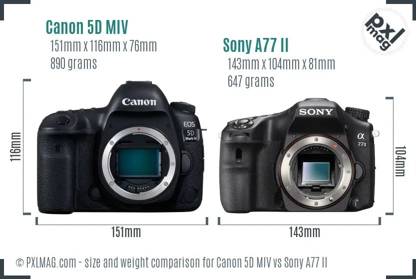Canon 5D MIV vs Sony A77 II size comparison