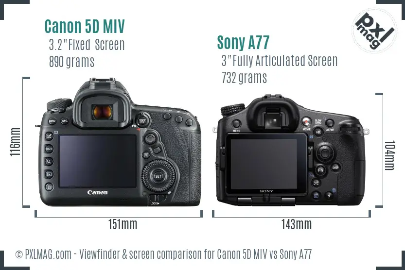 Canon 5D MIV vs Sony A77 Screen and Viewfinder comparison