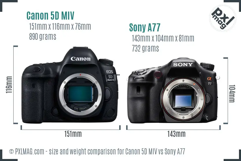 Canon 5D MIV vs Sony A77 size comparison