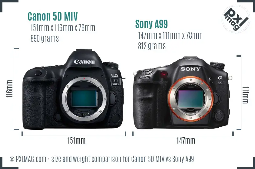Canon 5D MIV vs Sony A99 size comparison