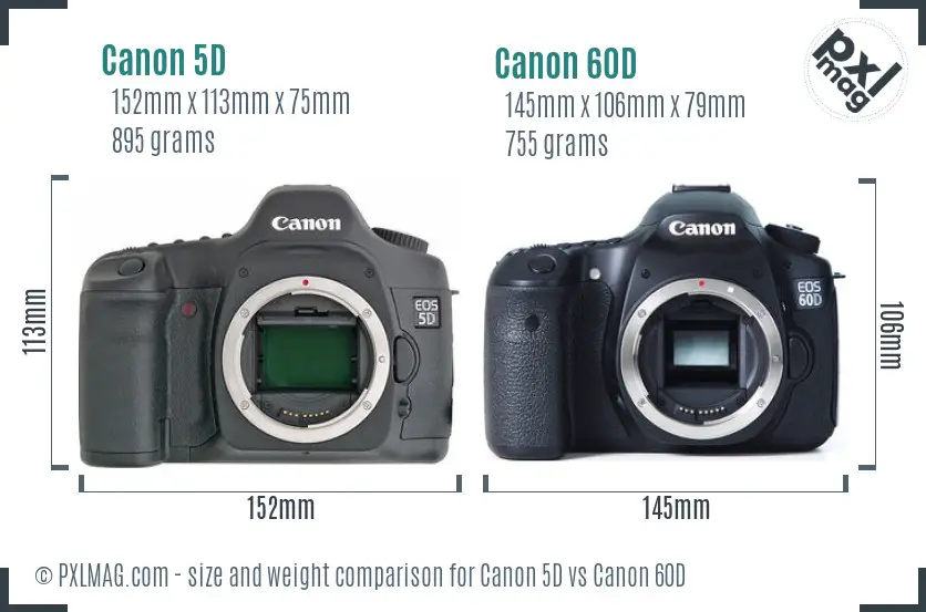 Canon 5D vs Canon 60D size comparison