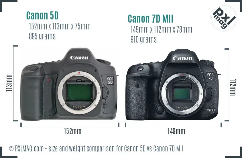 Canon 5D vs Canon 7D MII size comparison