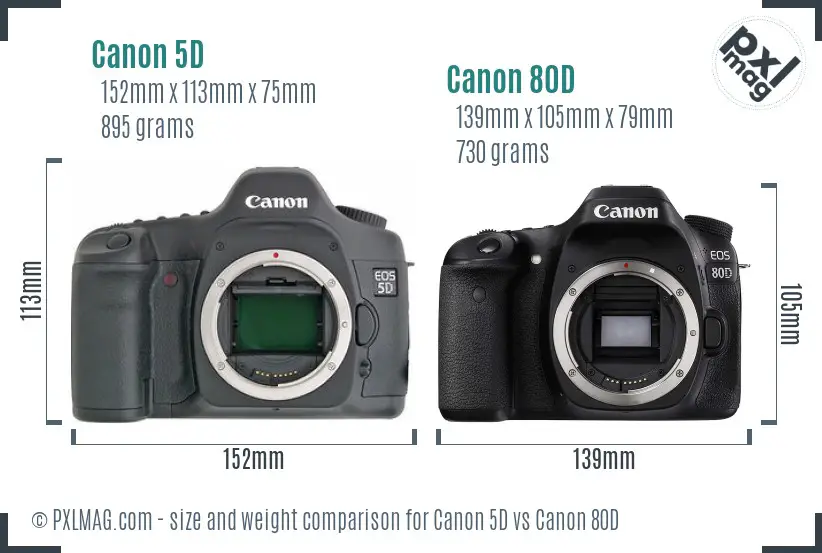 Canon 5D vs Canon 80D size comparison