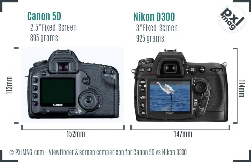 Canon 5D vs Nikon D300 Screen and Viewfinder comparison