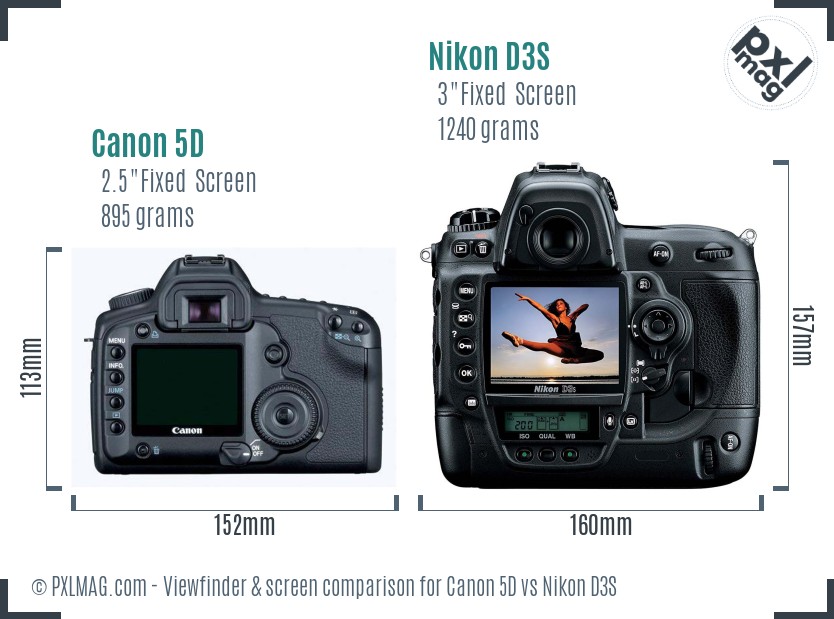 Canon 5D vs Nikon D3S Screen and Viewfinder comparison