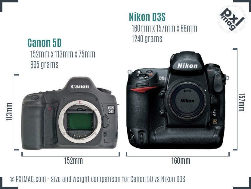 Canon 5D vs Nikon D3S size comparison