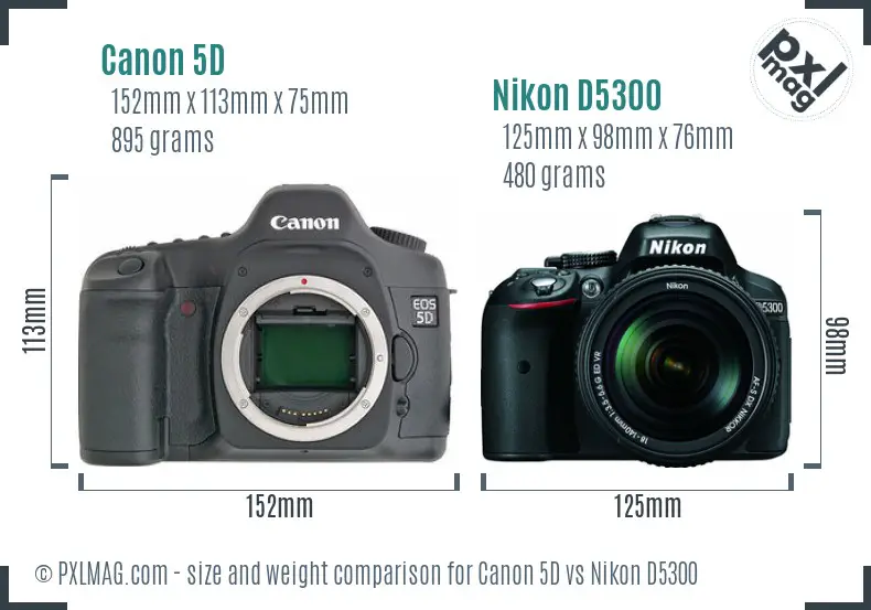 Canon 5D vs Nikon D5300 size comparison