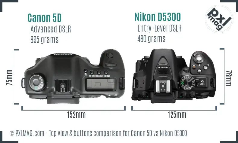 Canon 5D vs Nikon D5300 top view buttons comparison