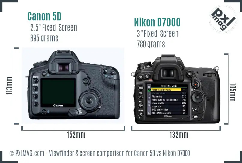 Canon 5D vs Nikon D7000 Screen and Viewfinder comparison