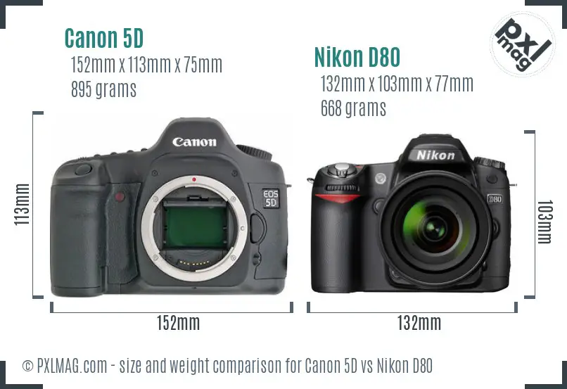 Canon 5D vs Nikon D80 size comparison