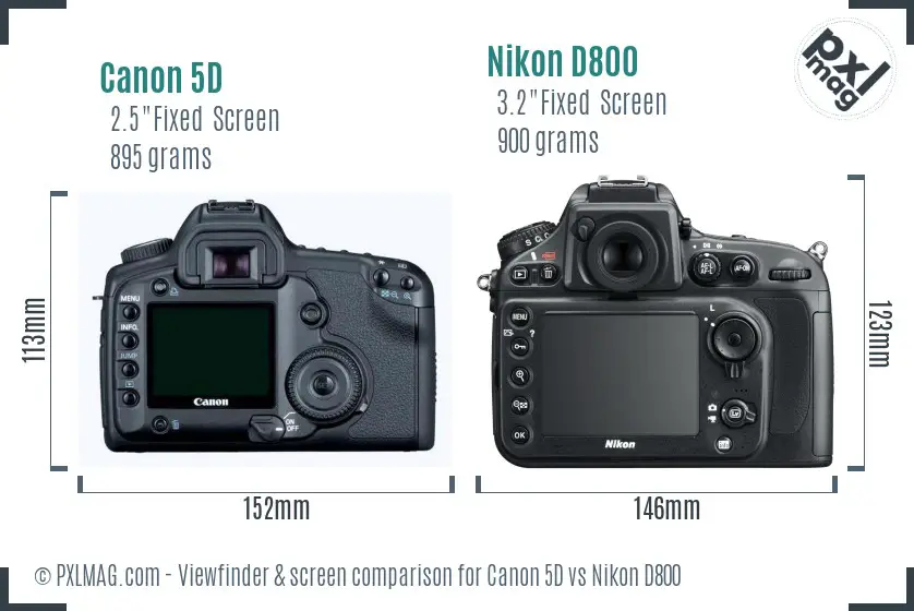 Canon 5D vs Nikon D800 Screen and Viewfinder comparison