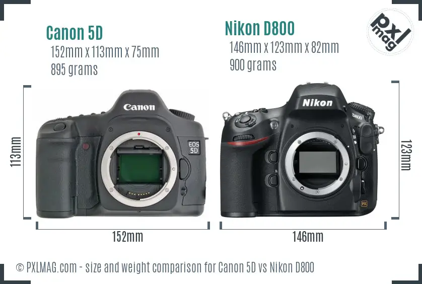 Canon 5D vs Nikon D800 size comparison