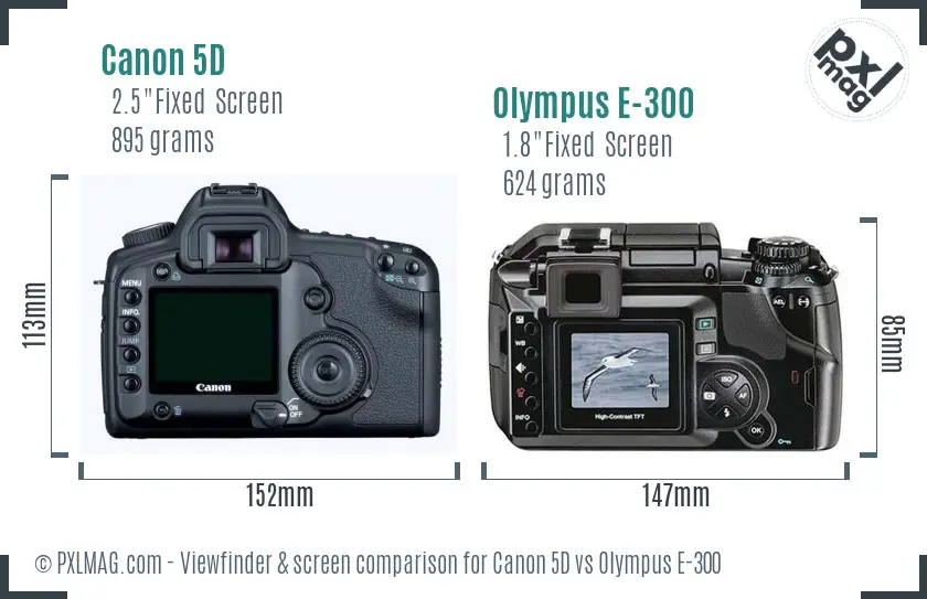 Canon 5D vs Olympus E-300 Screen and Viewfinder comparison