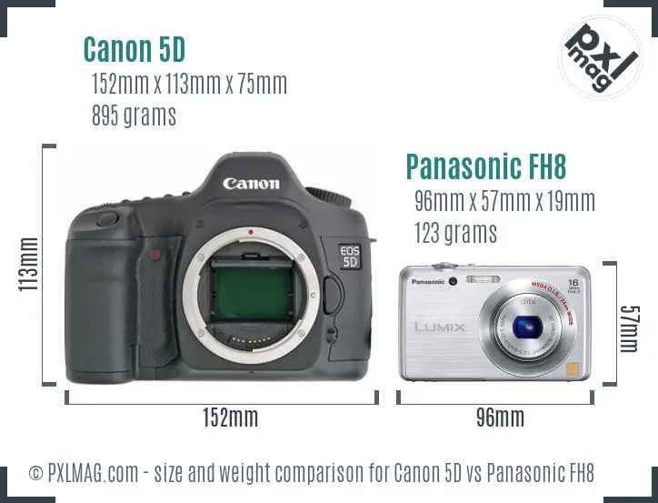 Canon 5D vs Panasonic FH8 size comparison