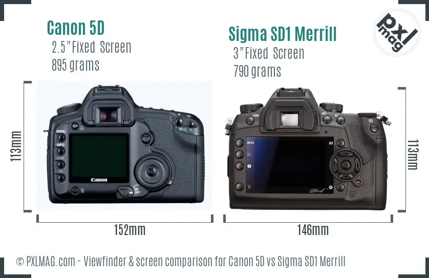 Canon 5D vs Sigma SD1 Merrill Screen and Viewfinder comparison