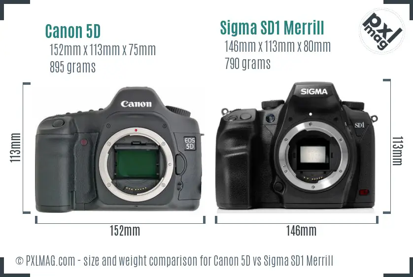 Canon 5D vs Sigma SD1 Merrill size comparison