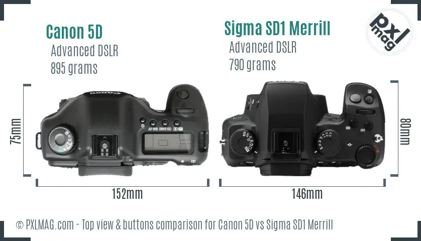 Canon 5D vs Sigma SD1 Merrill top view buttons comparison