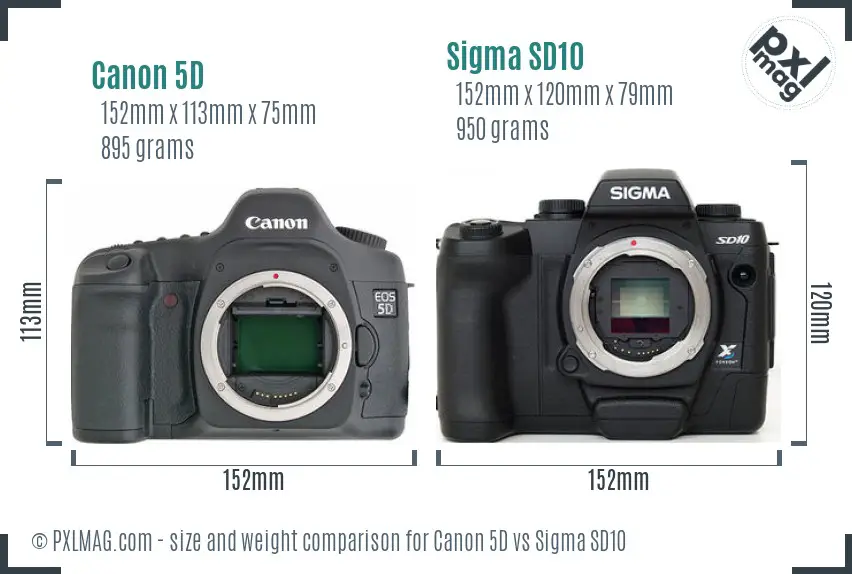 Canon 5D vs Sigma SD10 size comparison