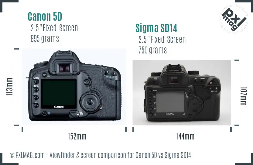 Canon 5D vs Sigma SD14 Screen and Viewfinder comparison