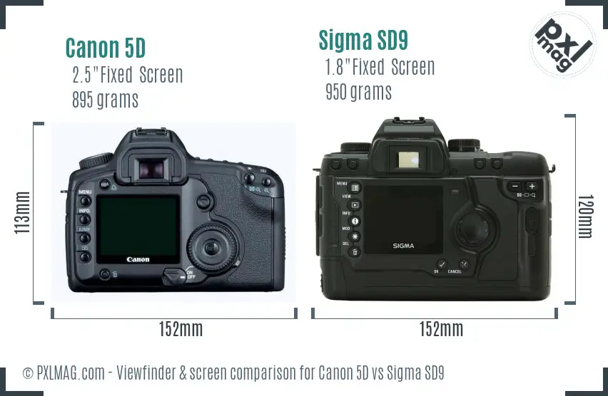 Canon 5D vs Sigma SD9 Screen and Viewfinder comparison