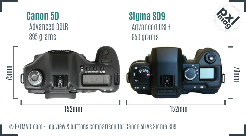 Canon 5D vs Sigma SD9 top view buttons comparison