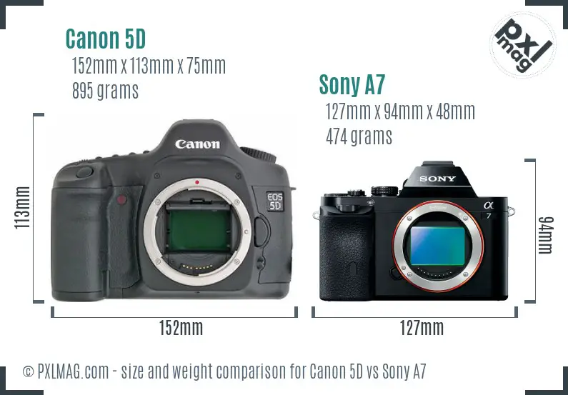 Canon 5D vs Sony A7 size comparison