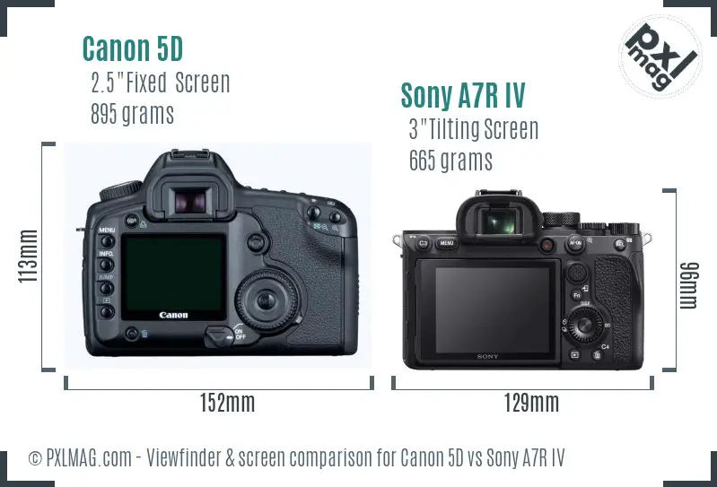 Canon 5D vs Sony A7R IV Screen and Viewfinder comparison