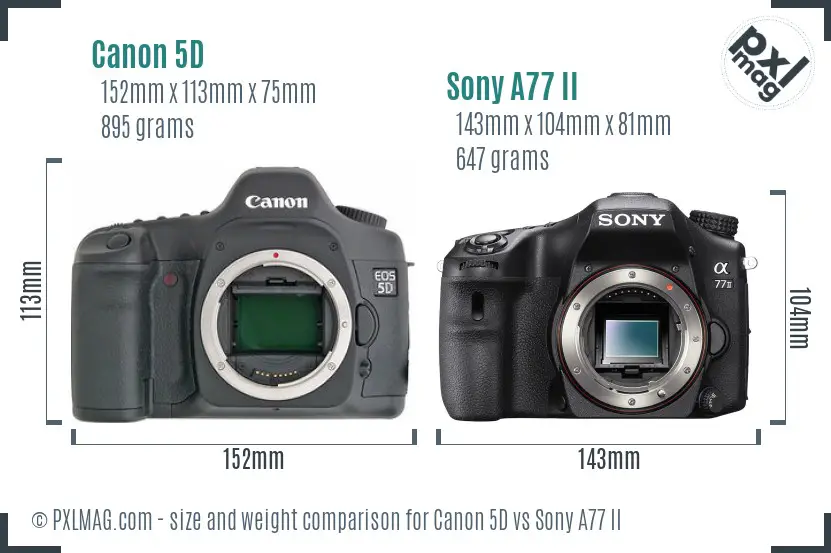 Canon 5D vs Sony A77 II size comparison