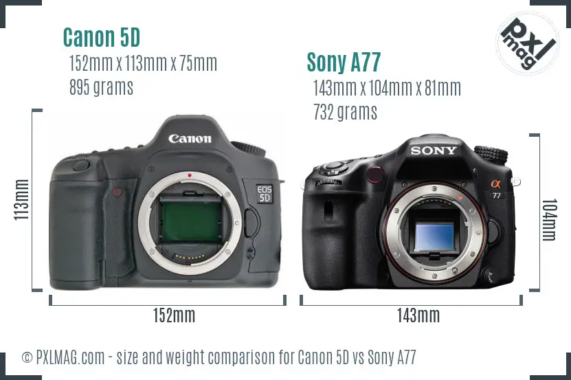 Canon 5D vs Sony A77 size comparison