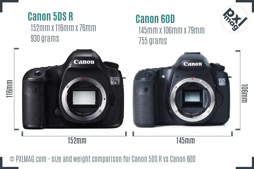Canon 5DS R vs Canon 60D size comparison
