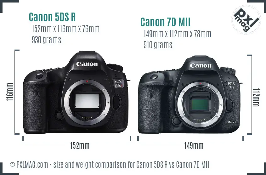 Canon 5DS R vs Canon 7D MII size comparison