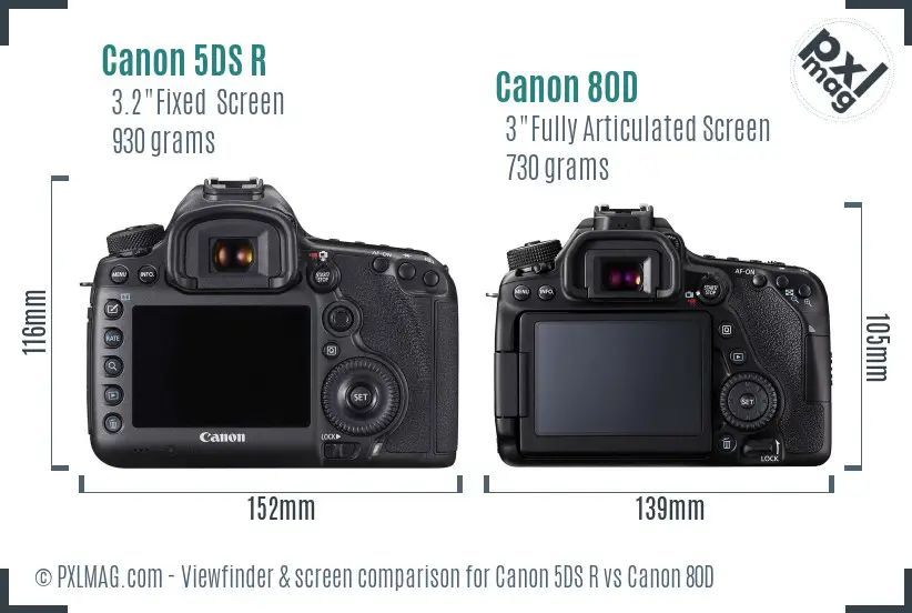 Canon 5DS R vs Canon 80D Screen and Viewfinder comparison