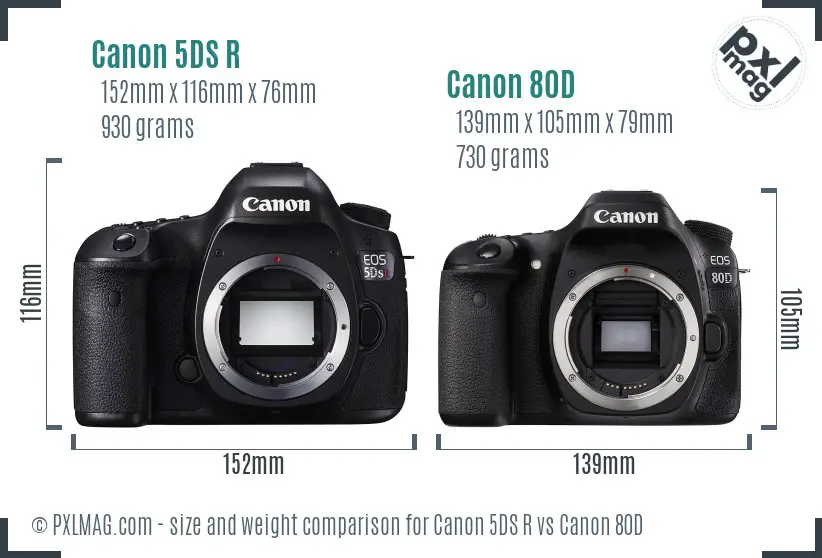 Canon 5DS R vs Canon 80D size comparison