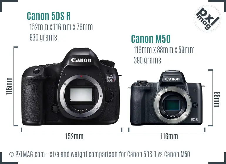 Canon 5DS R vs Canon M50 size comparison Canon 5DS R vs Canon M50 size comparison