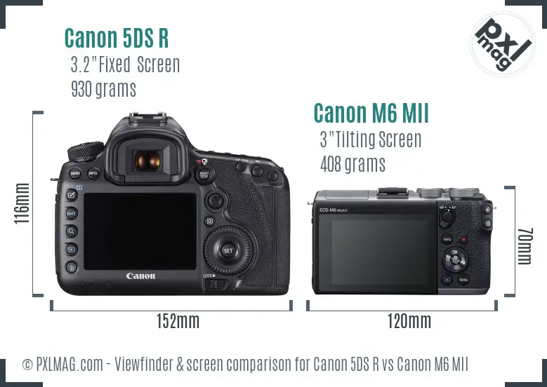 Canon 5DS R vs Canon M6 MII Screen and Viewfinder comparison