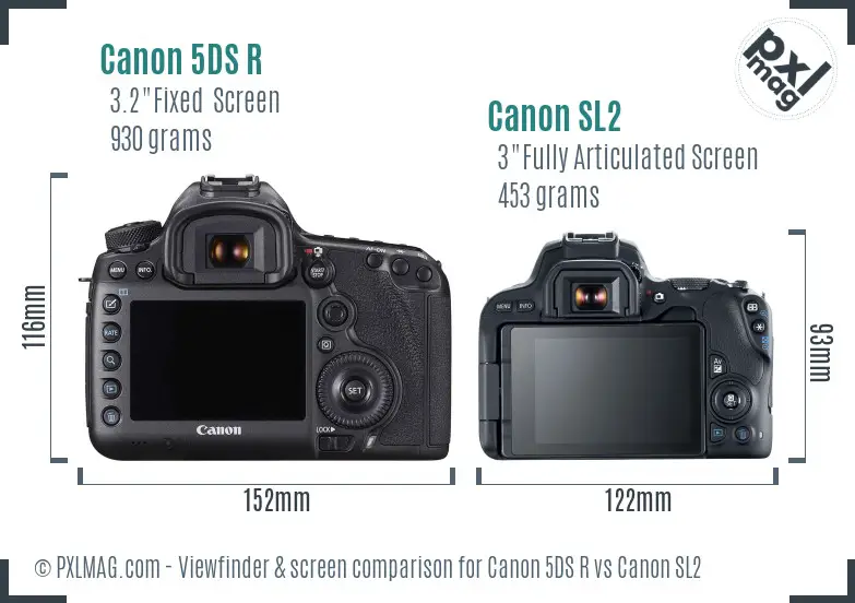 Canon 5DS R vs Canon SL2 Screen and Viewfinder comparison