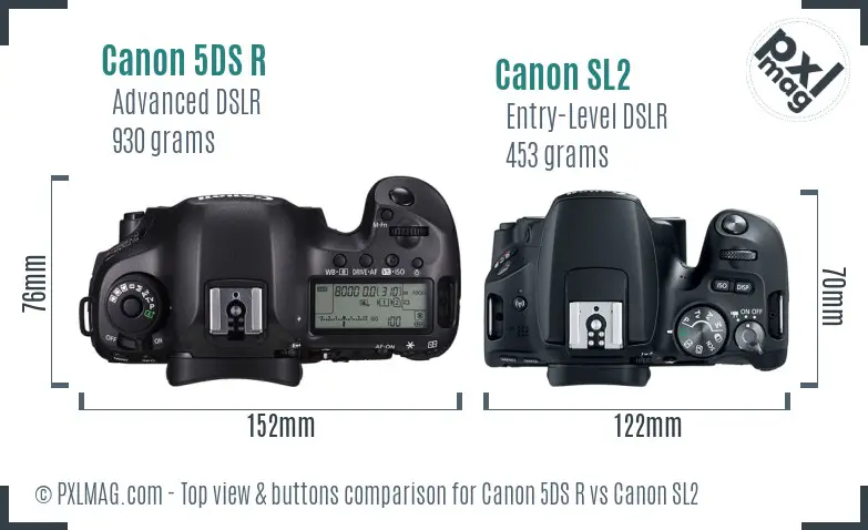 Canon 5DS R vs Canon SL2 top view buttons comparison