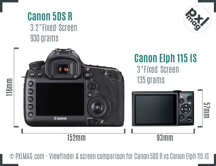 Canon 5DS R vs Canon Elph 115 IS Screen and Viewfinder comparison Canon 5DS R vs Canon Elph 115 IS Screen and Viewfinder comparison