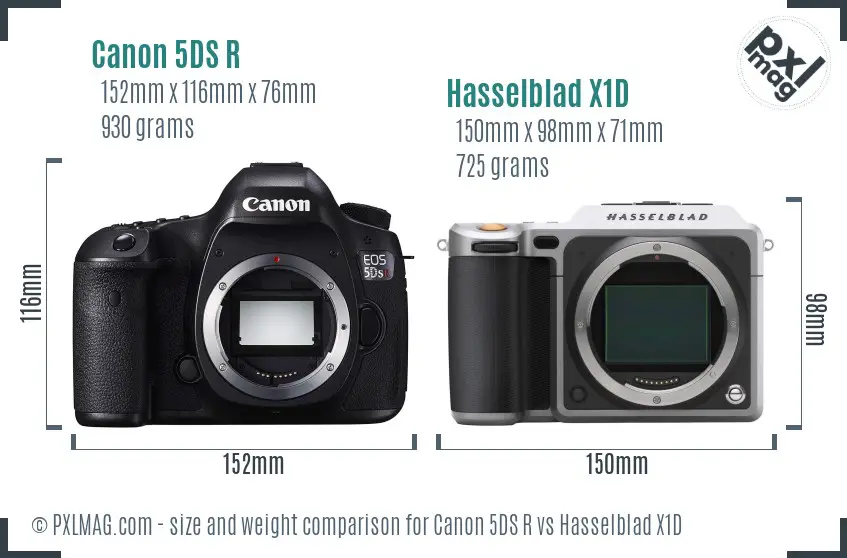 Canon 5DS R vs Hasselblad X1D Detailed Comparison