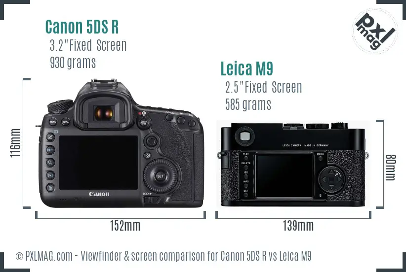 Canon 5DS R vs Leica M9 Screen and Viewfinder comparison