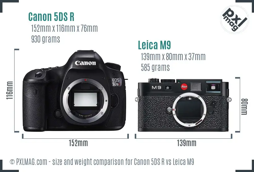 Canon 5DS R vs Leica M9 size comparison
